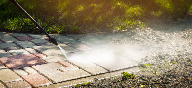 Best Solar Panel Cleaning  in Lovettsville, VA