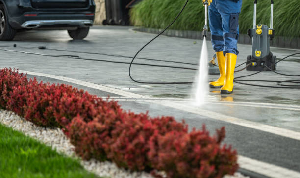 Best Dumpster Area Cleaning  in Lovettsville, VA